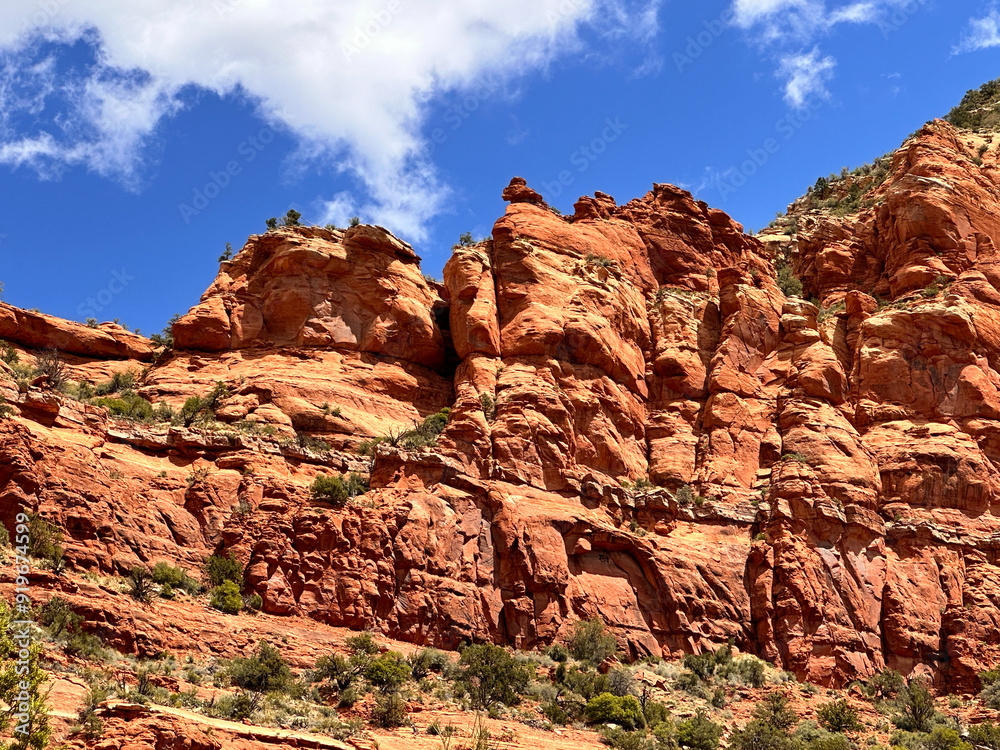 Fototapeta premium Red Rock Sedona