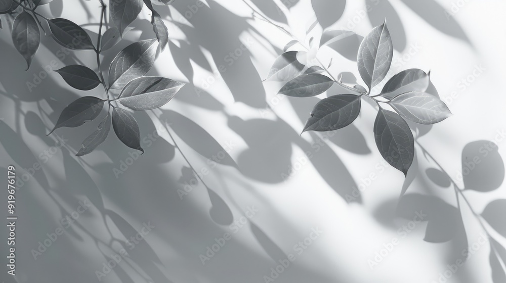 Blurry gray leave shadows on white wall surface for wallpaper and background. Blurry gray leave shadows on white wall surface for wallpaper and background.