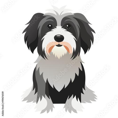 cartoon fluffy Havanese dog sitting, adorable features, grey and white