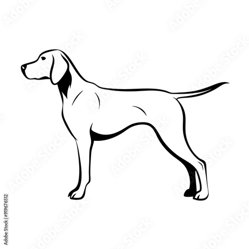 German longhaired pointer dog standing proudly, line art