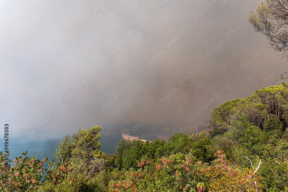 Fire raging through the forest