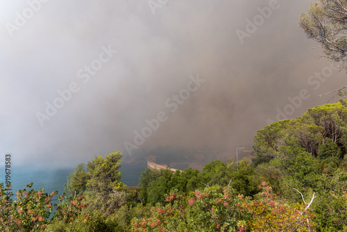 Obraz na płótnie Fire raging through the forest w salonie
