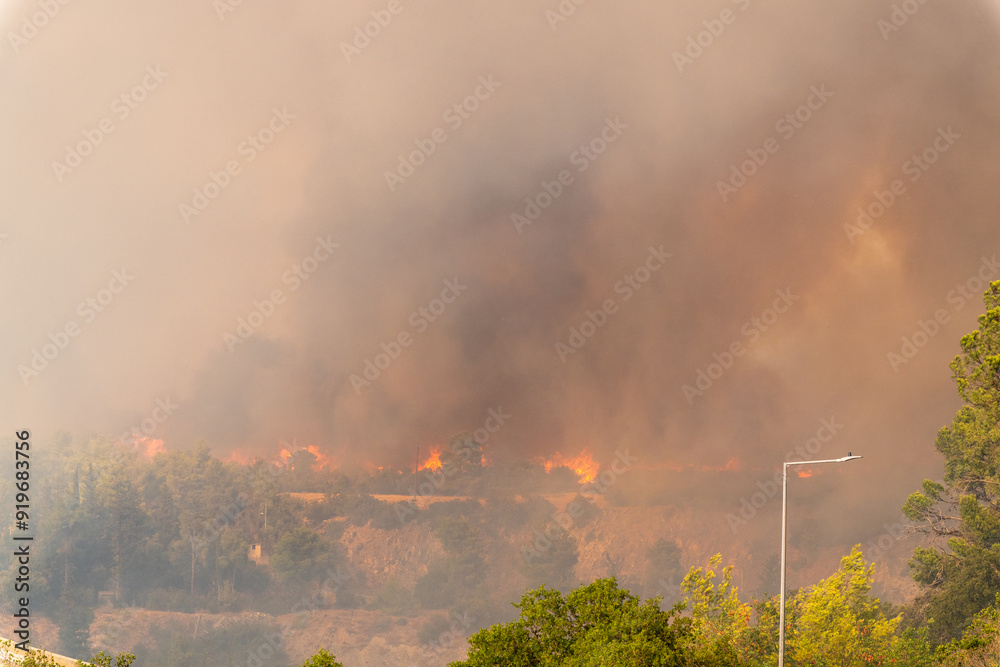Flames and smoke from a forest fire