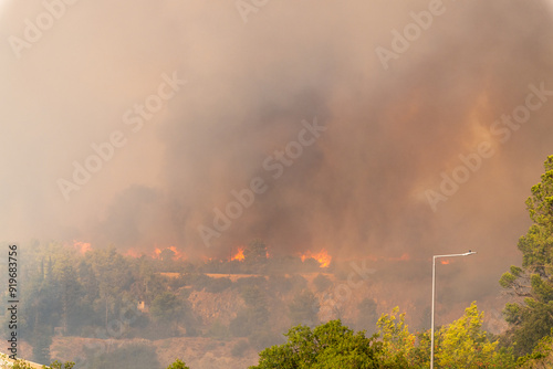 Obraz na płótnie Flames and smoke from a forest fire w salonie