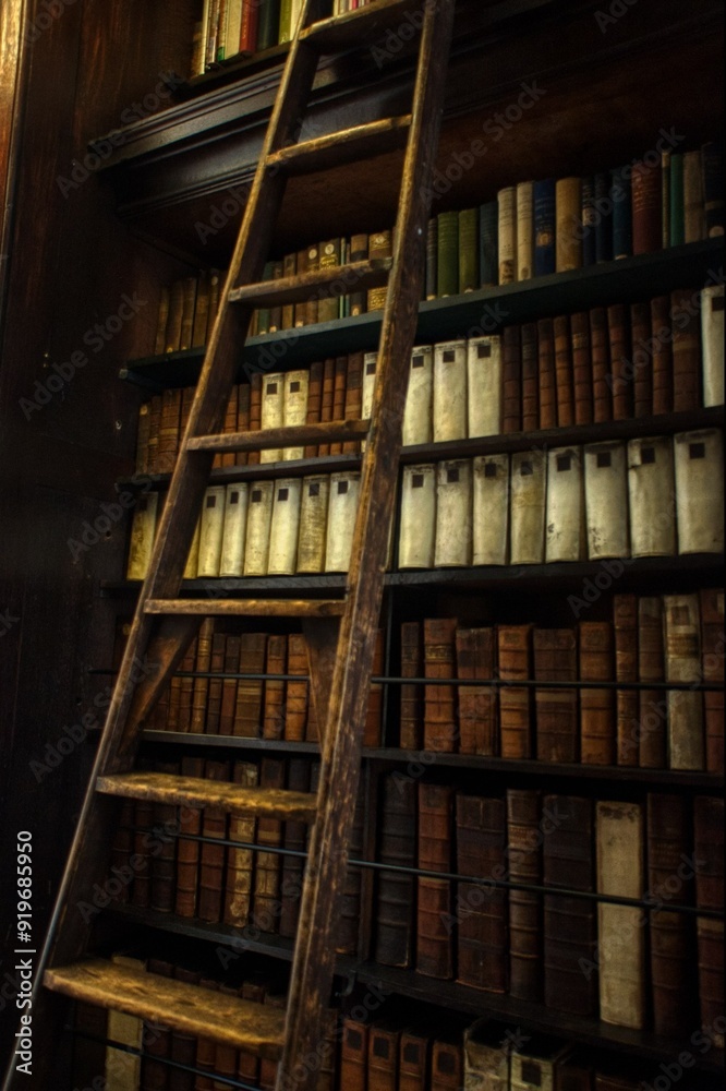 Obraz premium old books in library