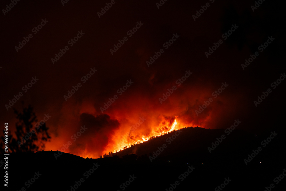 Forest fire at night