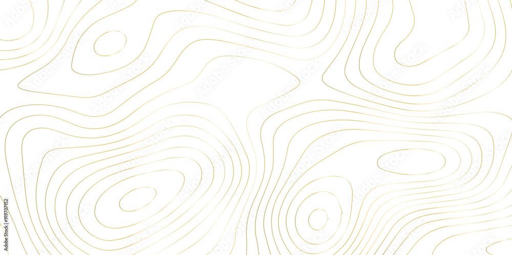 Abstract wave paper curved reliefs background .gradient multicolor wave curve lines banner background design .topographic contours map background .Vector geographic contour map. Abstract wave paper curved reliefs background .gradient multicolor wave curve lines banner background design .topographic contours map background .Vector geographic contour map.
