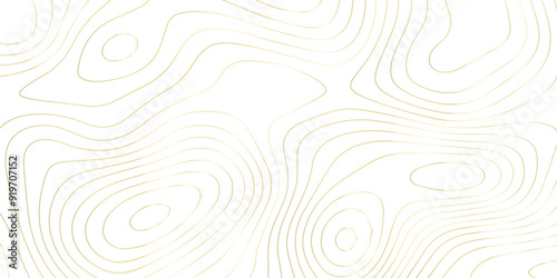 Abstract wave paper curved reliefs background .gradient multicolor wave curve lines banner background design .topographic contours map background .Vector geographic contour map.