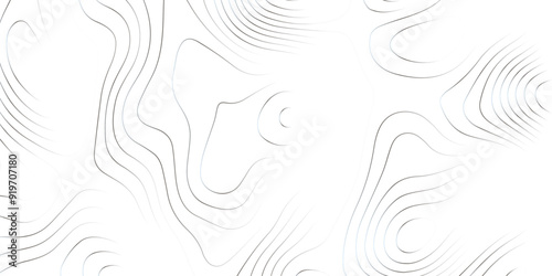 Abstract wave paper curved reliefs background .gradient multicolor wave curve lines banner background design .topographic contours map background .Vector geographic contour map.