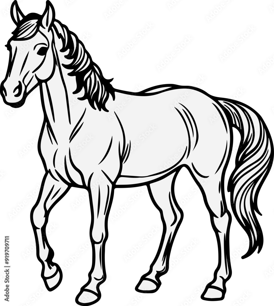Horse vector illustration Silhouette Horse vector illustration Silhouette