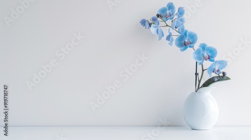 blue orchid flowers in a vase on a white table and white wall