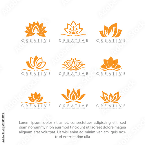 Abstract lotus logo, Stylized lotus flower icon vector design