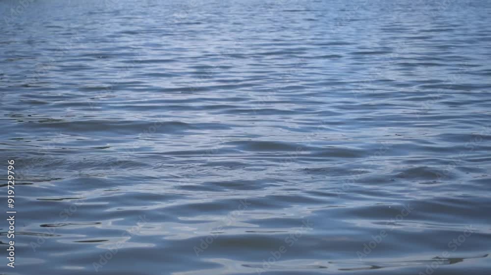 Angelköder wird über die Wasseröberfläche gezogen Angelköder wird über die Wasseröberfläche gezogen