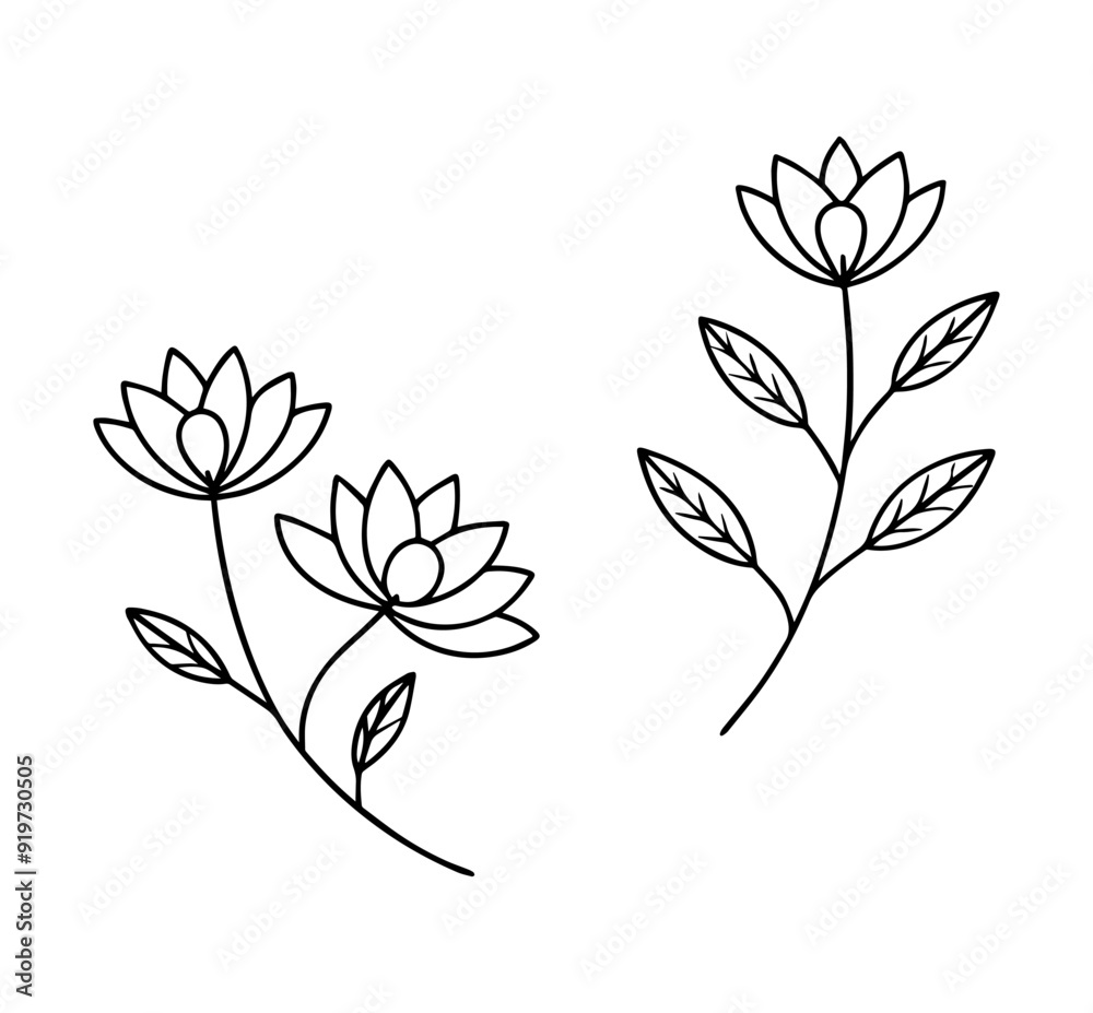 floral branch and minimalist flower vector, hand drawn line wedding herb, illustration floral branch and minimalist flower vector, hand drawn line wedding herb, illustration