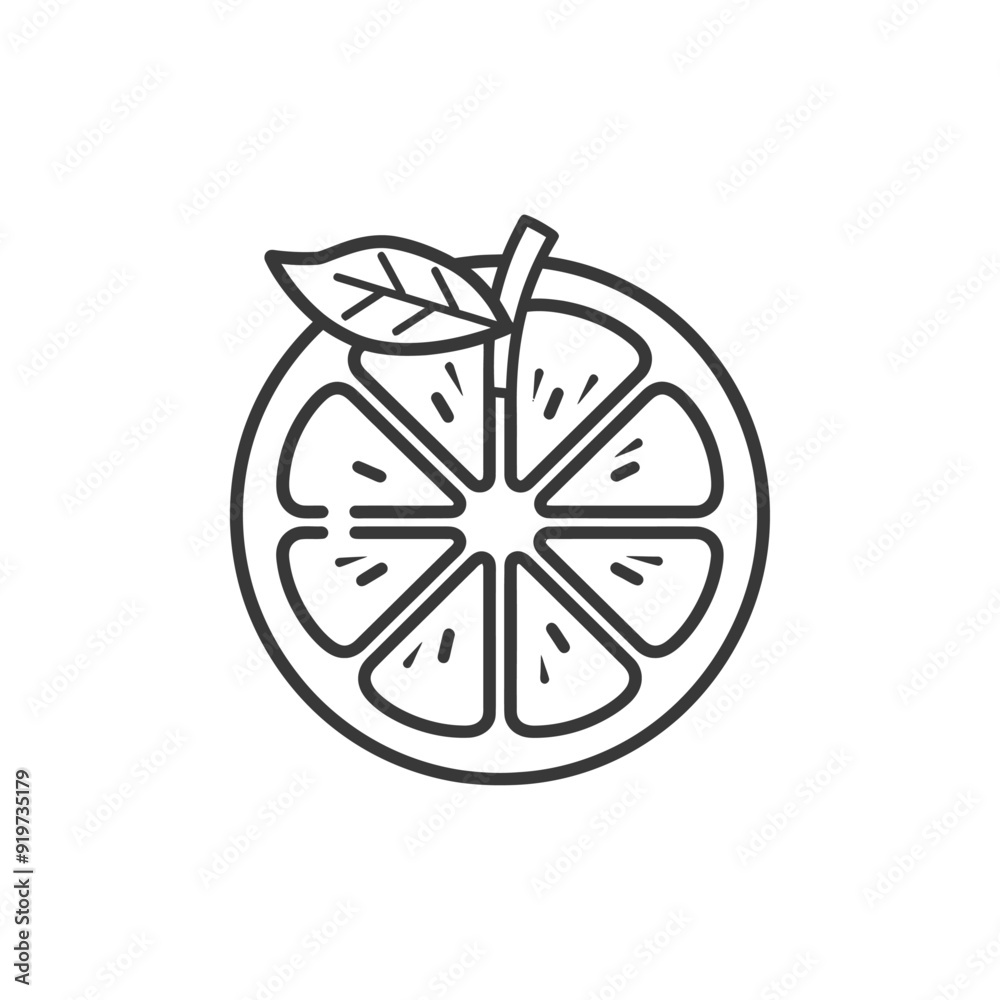 Line art illustration of a halved citrus fruit with a leaf Line art illustration of a halved citrus fruit with a leaf