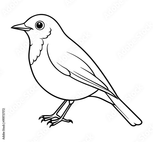 American Robin vector illustration, line art, silhouette