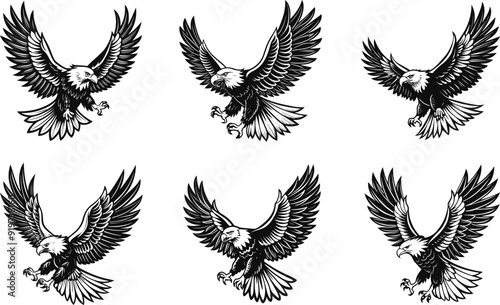 set of flying bald eagle silhouette vector illustration
