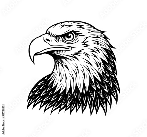 bald eagle head silhouette vector illustration