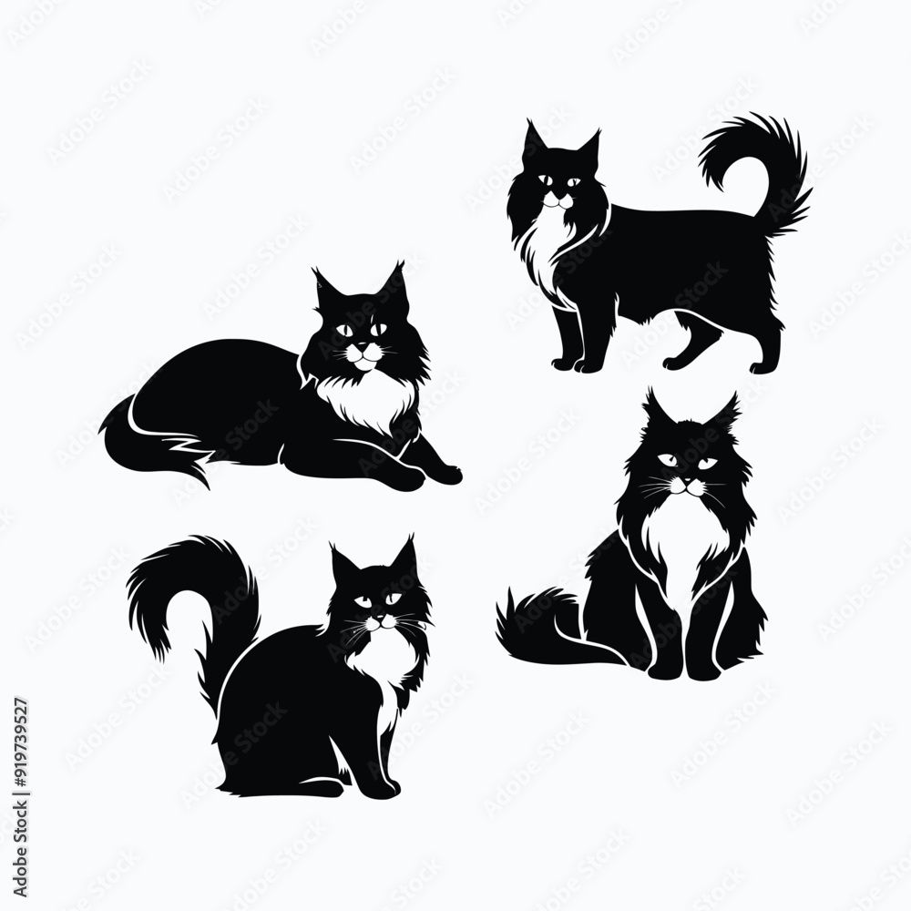 Maine coon cat silhouette set animals vector template Maine coon cat silhouette set animals vector template