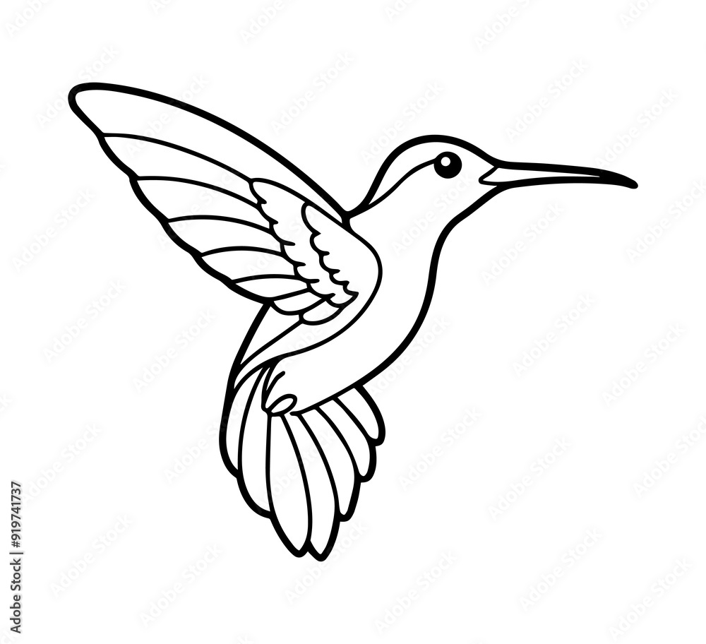 Line art of a hummingbird Line art of a hummingbird