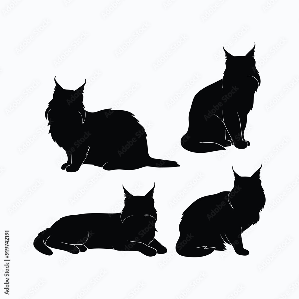 Maine coon cat silhouette set animals vector template Maine coon cat silhouette set animals vector template