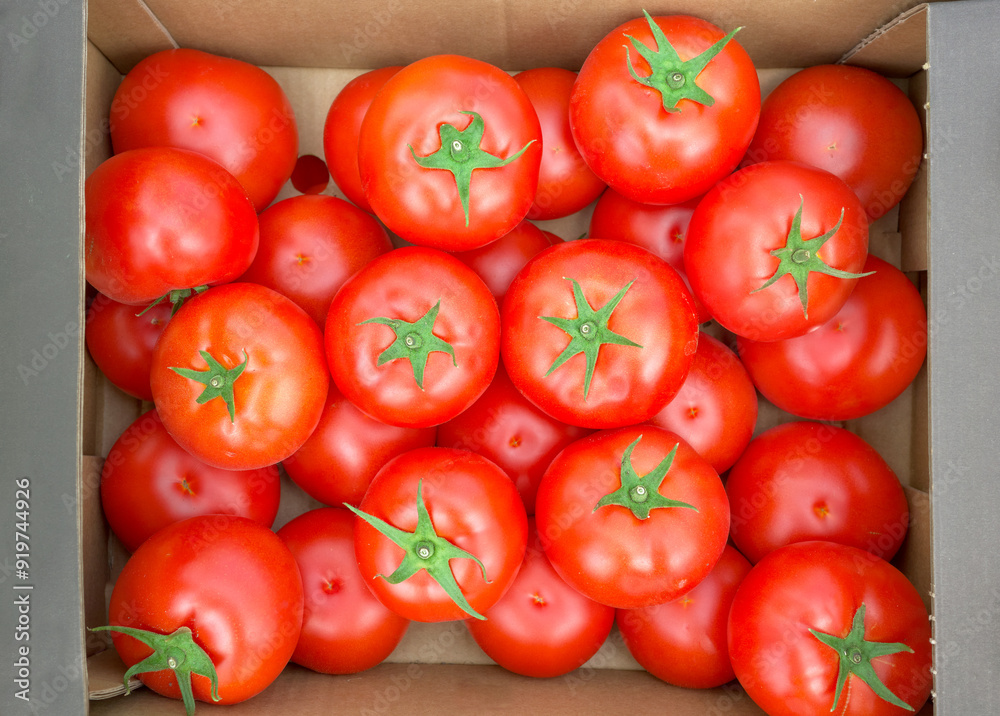 Close up photo of organic tomatoes in a box, selective focus. Close up photo of organic tomatoes in a box, selective focus.