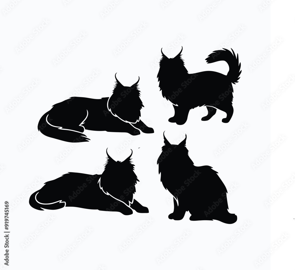 Obraz premium Maine coon cat silhouette set animals vector template