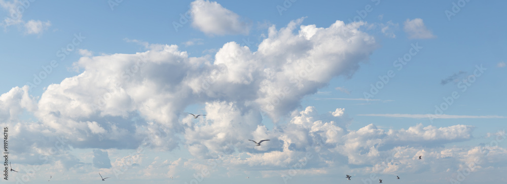 Fototapeta premium Sky replacement large puffy clouds rolling in against blue sky