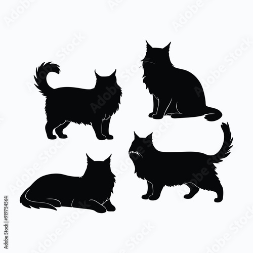 Maine coon cat silhouette set animals vector template