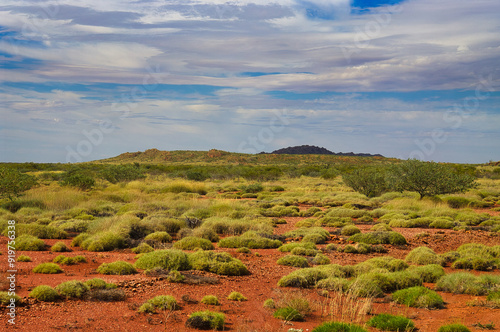 Outback landscape with spinifex, low shrubs and red earth in the remote area between Nanutarra and Tom Price, Pilbara region, Western Australia
