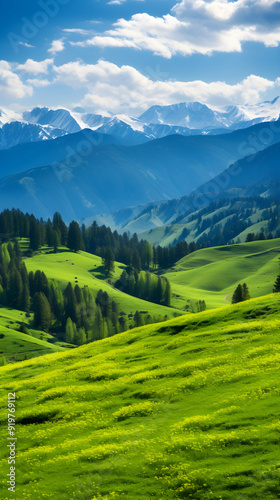 Springtime Serenity: An Exquisite Display of Timberland and Mountains in the Heart of Mother Nature