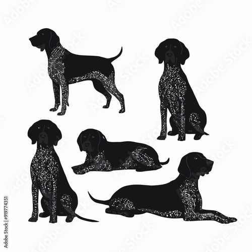 German Shorthaired Pointer Silhouette Vector Template Illustration