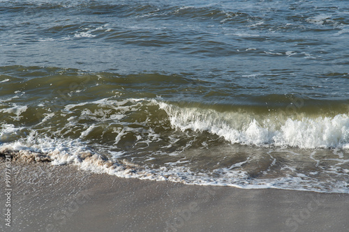 Fototapeta Naklejka Na Ścianę i Meble -  Surf on the Baltic Sea coast. Wave on a sandy beach.