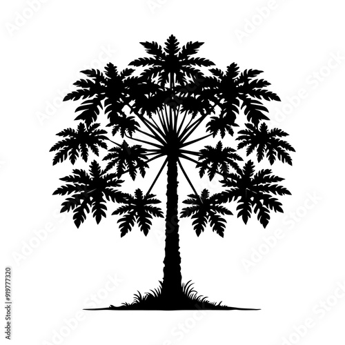 papaya Tree, vector black color silhouette