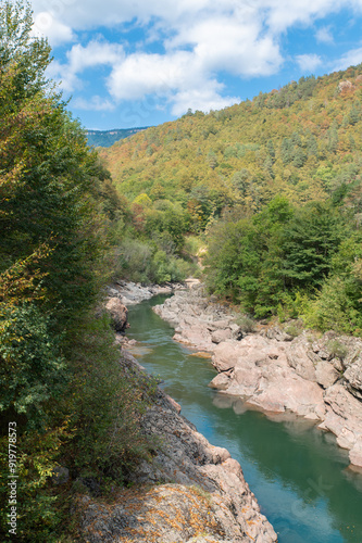 Mountain river with transparent foamy water and rocky bottom