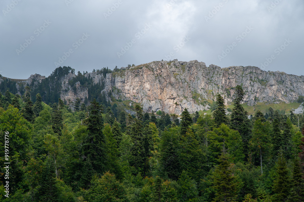 Mountain nature. Forests on hillsides Mountain nature. Forests on hillsides