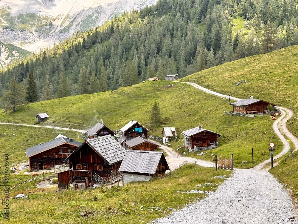 Häuser auf Alm vor Dachsteinpanorama