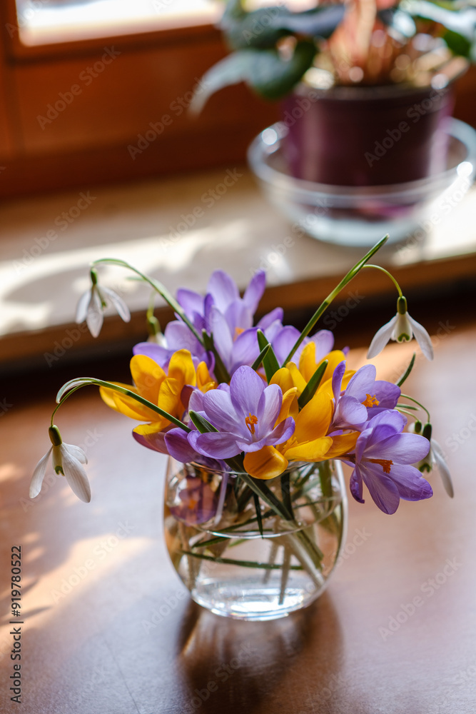 Bouquet of purple crocus in vase. Spring flowers in a vase.