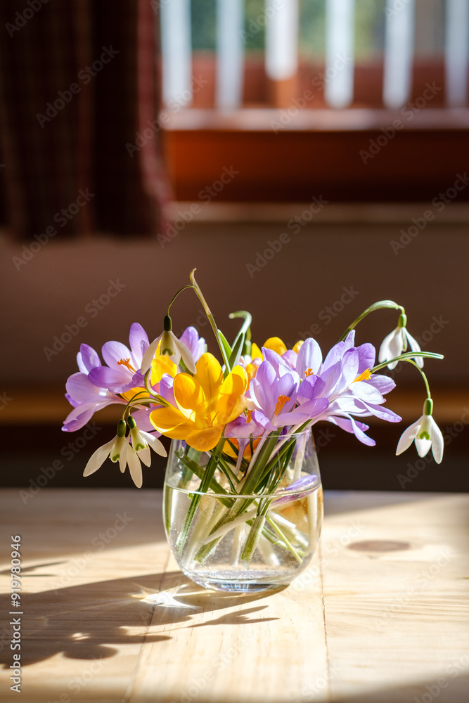 Bouquet of purple crocus in vase. Spring flowers in a vase.