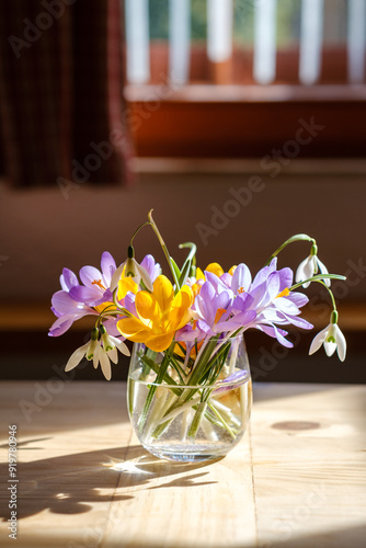 Bouquet of purple crocus in vase. Spring flowers in a vase.