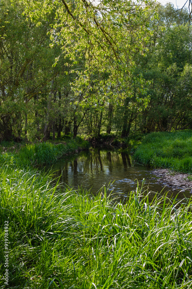 Stormy stream on the mountain river on a sunny day. Close up shot.