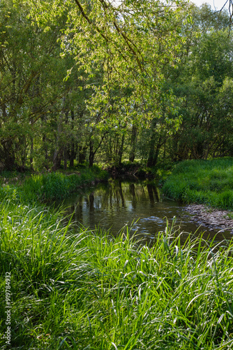 Obraz na płótnie Stormy stream on the mountain river on a sunny day. Close up shot. w salonie