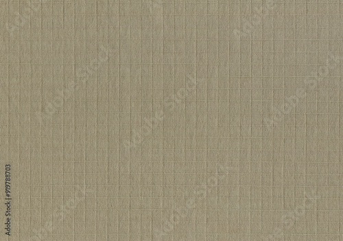 High-Resolution Close-Up of Sand-Colored Ripstop Fabric Texture