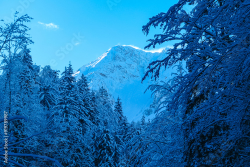 Panoramic view of snow capped mountain peaks of Karawanks mountain range in Bärental, Carinthia, Austria. Frozen tree branches in winter wonderland in the Austrian Alps. Ski touring on sunny day photo