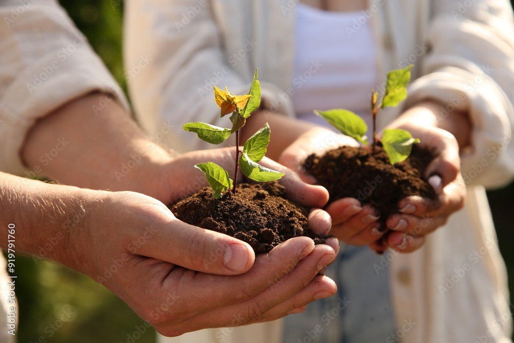 Fototapeta premium Couple holding seedlings with soil outdoors, closeup