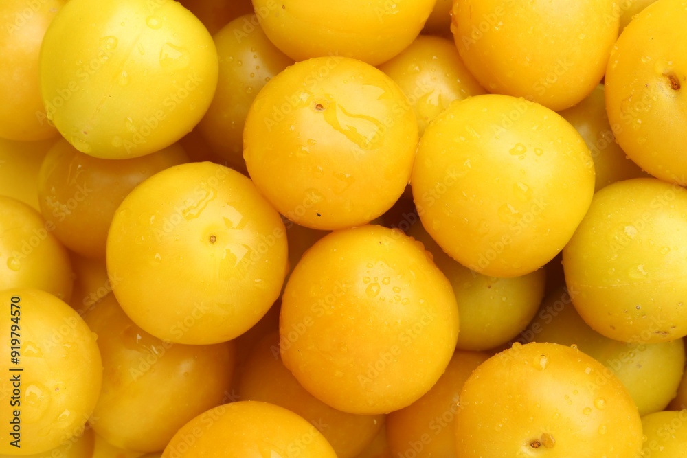 Many fresh plums with water drops as background, top view Many fresh plums with water drops as background, top view