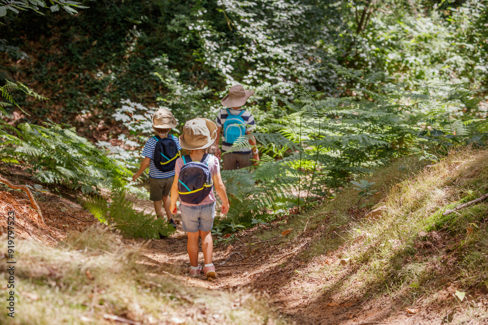 Children in hats and backpacks go on forest hike, explore nature Children in hats and backpacks go on forest hike, explore nature