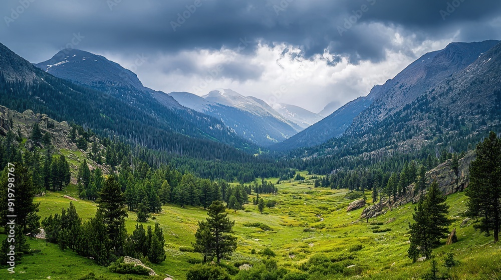 Fototapeta premium Serene valley landscape under a moody sky in the mountains
