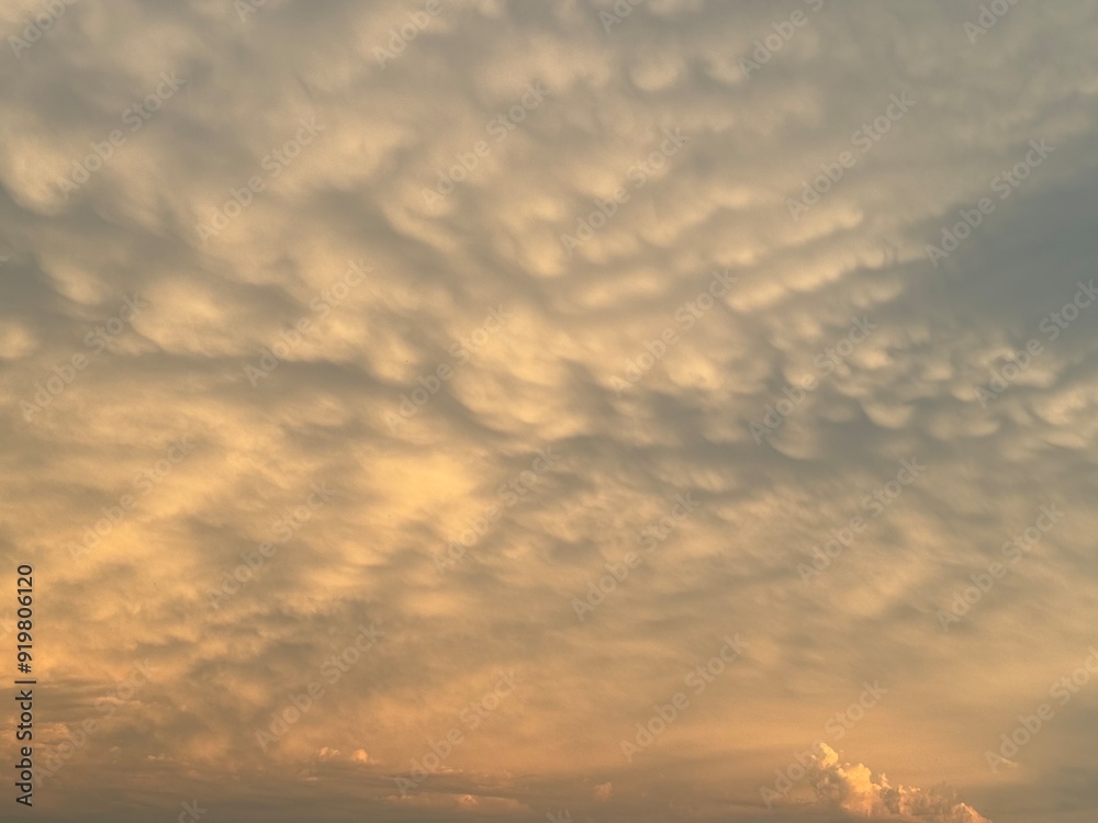 Obraz premium sunset in the sky