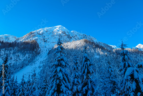 Panoramic view of snow capped mountain peaks of Karawanks mountain range in Bärental valley, Carinthia, Austria. Frozen tree branches in winter wonderland in Austrian Alps. Ski touring on sunny day photo